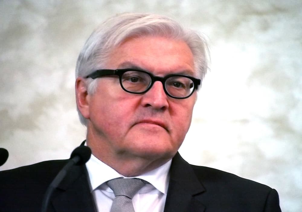 Frank-Walter Steinmeier solingen açıklaması