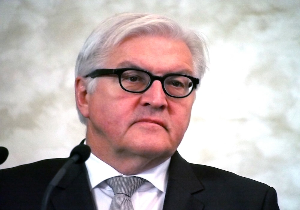 Frank-Walter Steinmeier solingen açıklaması