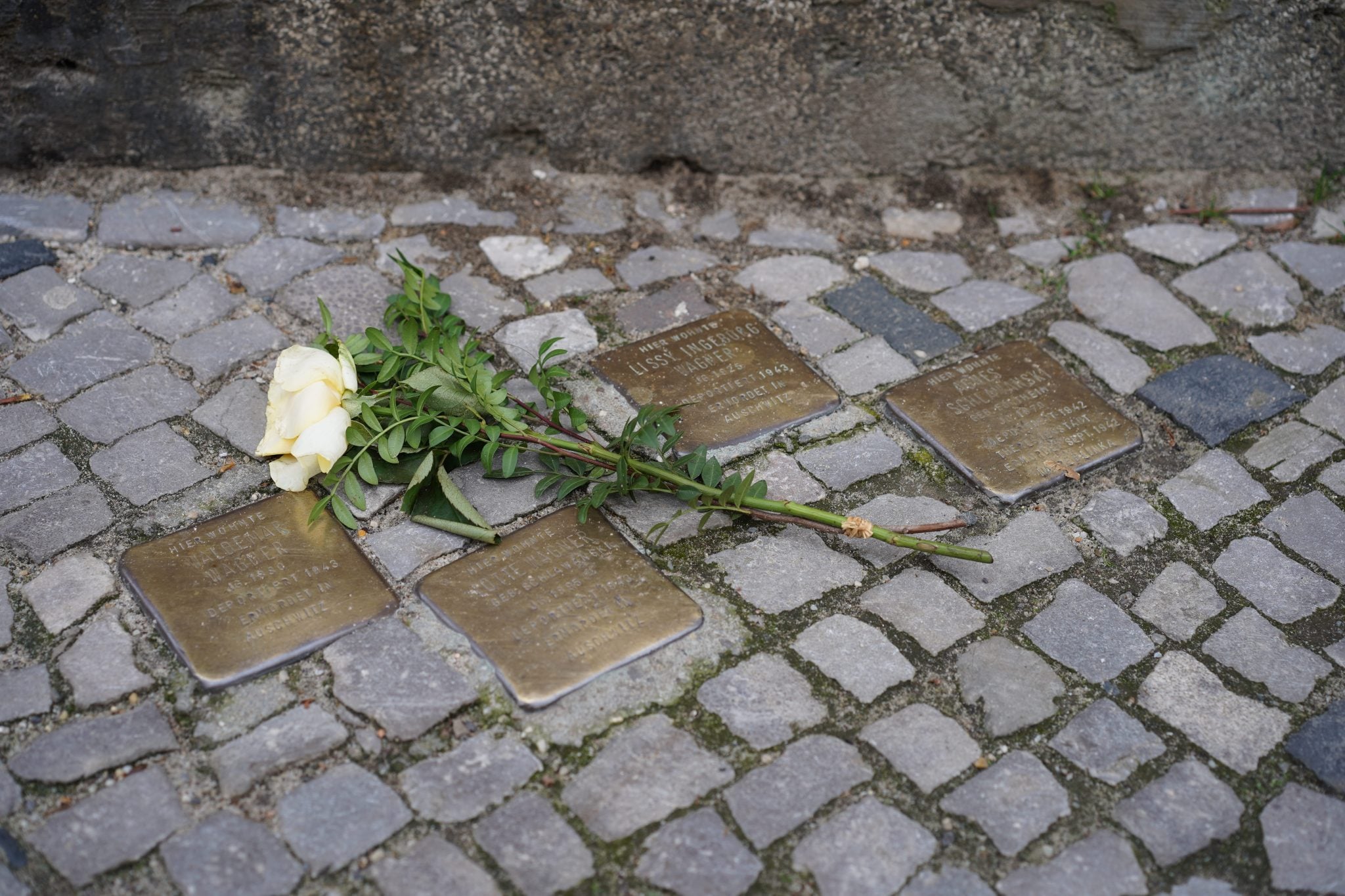 tökezleme taşları stolpersteine afd cdu